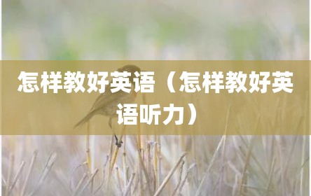 怎样教好英语（怎样教好英语听力）