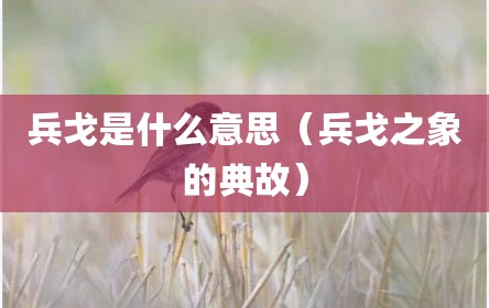 兵戈是什么意思（兵戈之象的典故）