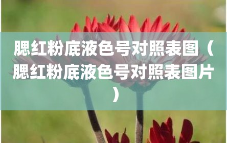 腮红粉底液色号对照表图（腮红粉底液色号对照表图片）