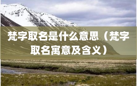 梵字取名是什么意思（梵字取名寓意及含义）
