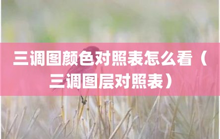 三调图颜色对照表怎么看（三调图层对照表）