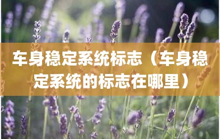 车身稳定系统标志（车身稳定系统的标志在哪里）