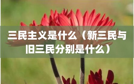 三民主义是什么（新三民与旧三民分别是什么）