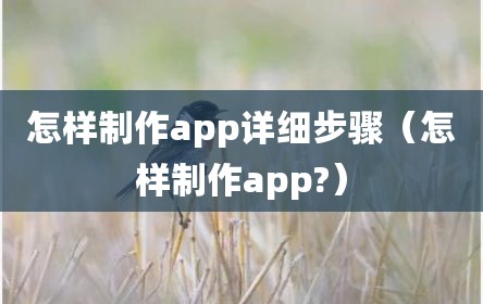 怎样制作app详细步骤（怎样制作app?）