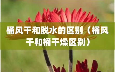桶风干和脱水的区别（桶风干和桶干燥区别）