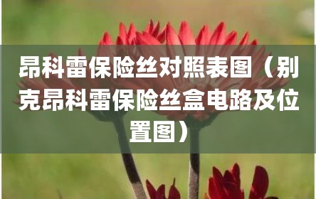 昂科雷保险丝对照表图（别克昂科雷保险丝盒电路及位置图）