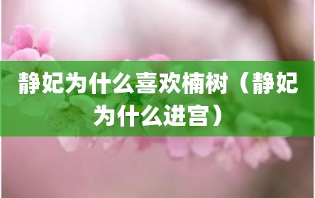 静妃为什么喜欢楠树（静妃为什么进宫）