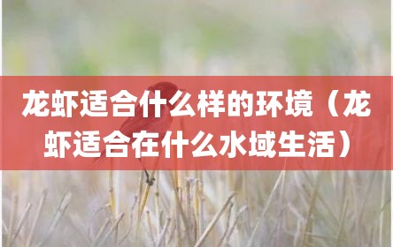 龙虾适合什么样的环境（龙虾适合在什么水域生活）