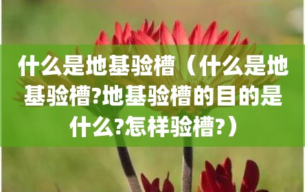 什么是地基验槽（什么是地基验槽?地基验槽的目的是什么?怎样验槽?）