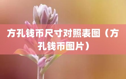 方孔钱币尺寸对照表图（方孔钱币图片）