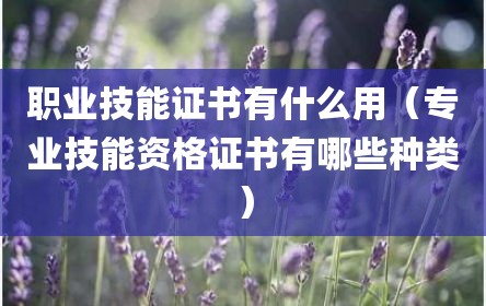 职业技能证书有什么用（专业技能资格证书有哪些种类）