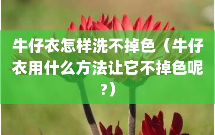 牛仔衣怎样洗不掉色（牛仔衣用什么方法让它不掉色呢?）