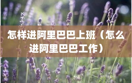 怎样进阿里巴巴上班（怎么进阿里巴巴工作）