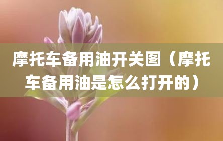 摩托车备用油开关图（摩托车备用油是怎么打开的）