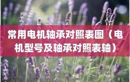 常用电机轴承对照表图（电机型号及轴承对照表轴）
