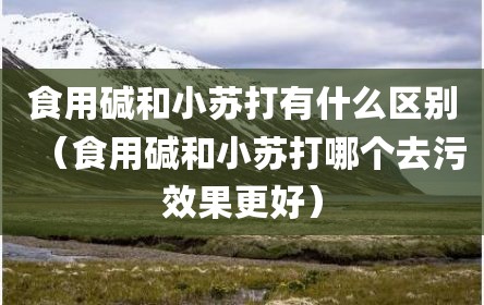 食用碱和小苏打有什么区别（食用碱和小苏打哪个去污效果更好）