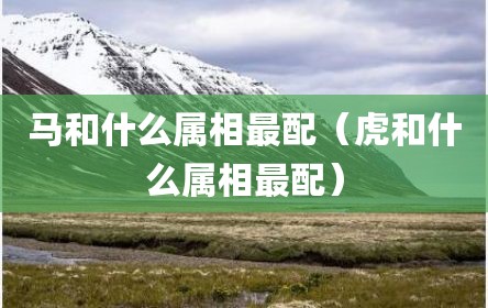 马和什么属相最配（虎和什么属相最配）