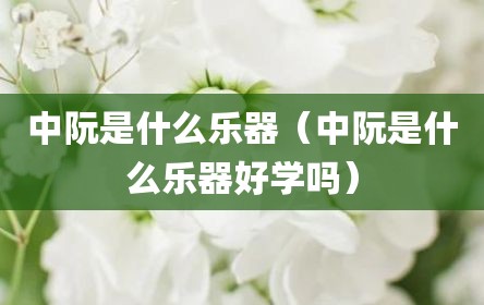 中阮是什么乐器（中阮是什么乐器好学吗）