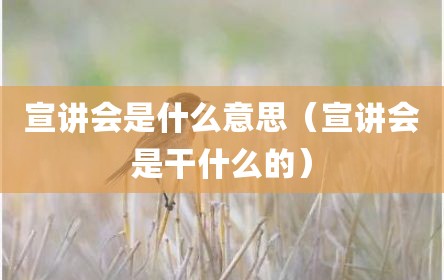 宣讲会是什么意思（宣讲会是干什么的）