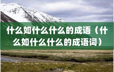 什么如什么什么的成语（什么如什么什么的成语词）