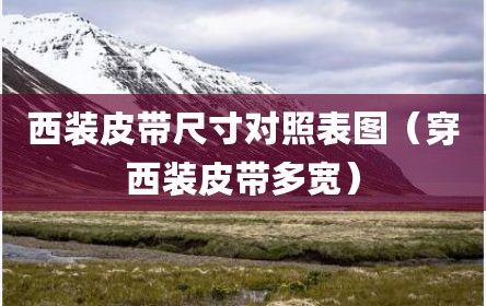 西装皮带尺寸对照表图（穿西装皮带多宽）