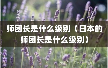 师团长是什么级别（日本的师团长是什么级别）