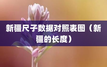 新疆尺子数据对照表图（新疆的长度）