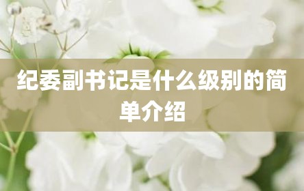 纪委副书记是什么级别的简单介绍