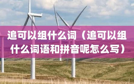 追可以组什么词（追可以组什么词语和拼音呢怎么写）
