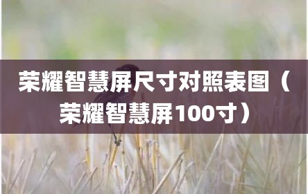 荣耀智慧屏尺寸对照表图（荣耀智慧屏100寸）