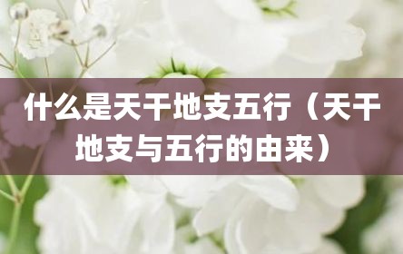 什么是天干地支五行（天干地支与五行的由来）