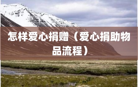 怎样爱心捐赠（爱心捐助物品流程）