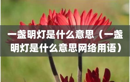 一盏明灯是什么意思（一盏明灯是什么意思网络用语）