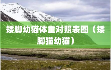矮脚幼猫体重对照表图（矮脚猫幼猫）