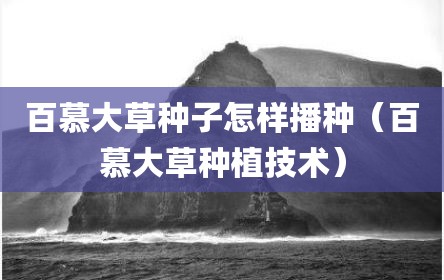 百慕大草种子怎样播种（百慕大草种植技术）