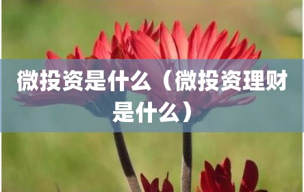 微投资是什么（微投资理财是什么）