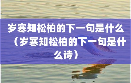 岁寒知松柏的下一句是什么（岁寒知松柏的下一句是什么诗）