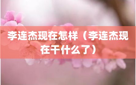 李连杰现在怎样（李连杰现在干什么了）