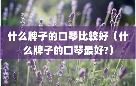 什么牌子的口琴比较好（什么牌子的口琴最好?）