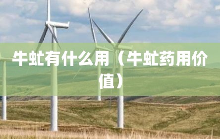 牛虻有什么用（牛虻药用价值）