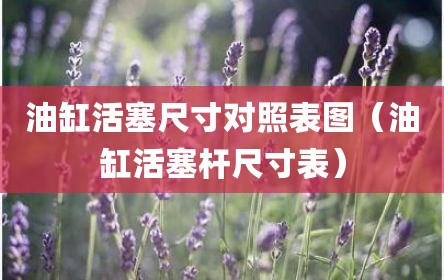 油缸活塞尺寸对照表图（油缸活塞杆尺寸表）