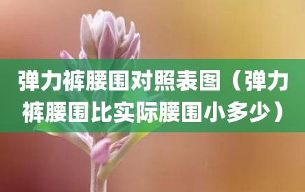 弹力裤腰围对照表图（弹力裤腰围比实际腰围小多少）