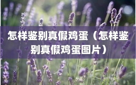 怎样鉴别真假鸡蛋（怎样鉴别真假鸡蛋图片）