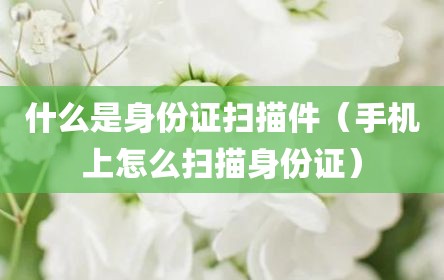 什么是身份证扫描件（手机上怎么扫描身份证）