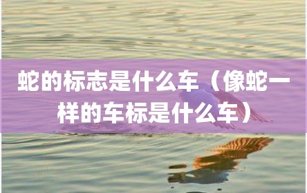 蛇的标志是什么车（像蛇一样的车标是什么车）