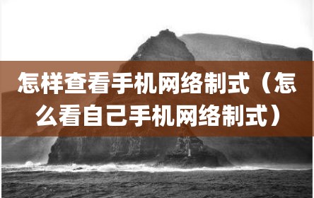 怎样查看手机网络制式（怎么看自己手机网络制式）