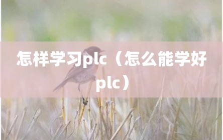 怎样学习plc（怎么能学好plc）