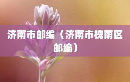济南市邮编（济南市槐荫区邮编）