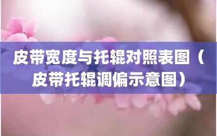 皮带宽度与托辊对照表图（皮带托辊调偏示意图）