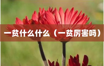 一贫什么什么（一贫厉害吗）